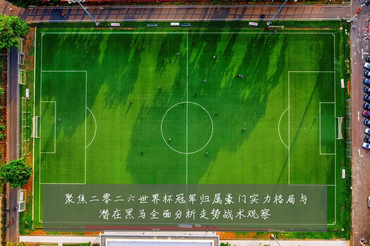 聚焦二零二六世界杯冠军归属豪门实力格局与潜在黑马全面分析走势战术观察